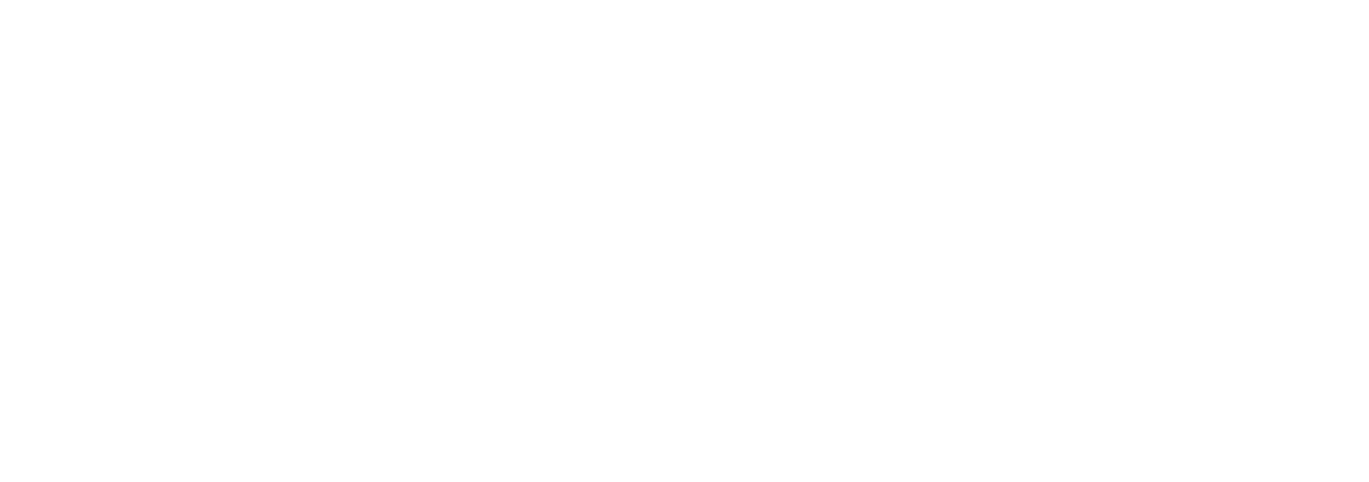 Consult Lhasa logo white