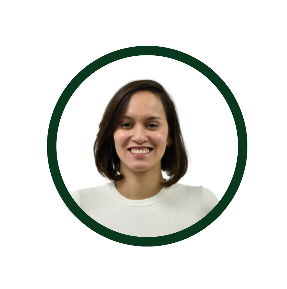 Non-mutagenic impurity qualification_Gabriela Silveira_